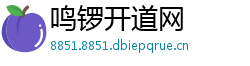 鸣锣开道网